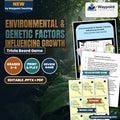Environmental & Genetic Factors Influencing Growth Trivia Board Game cover