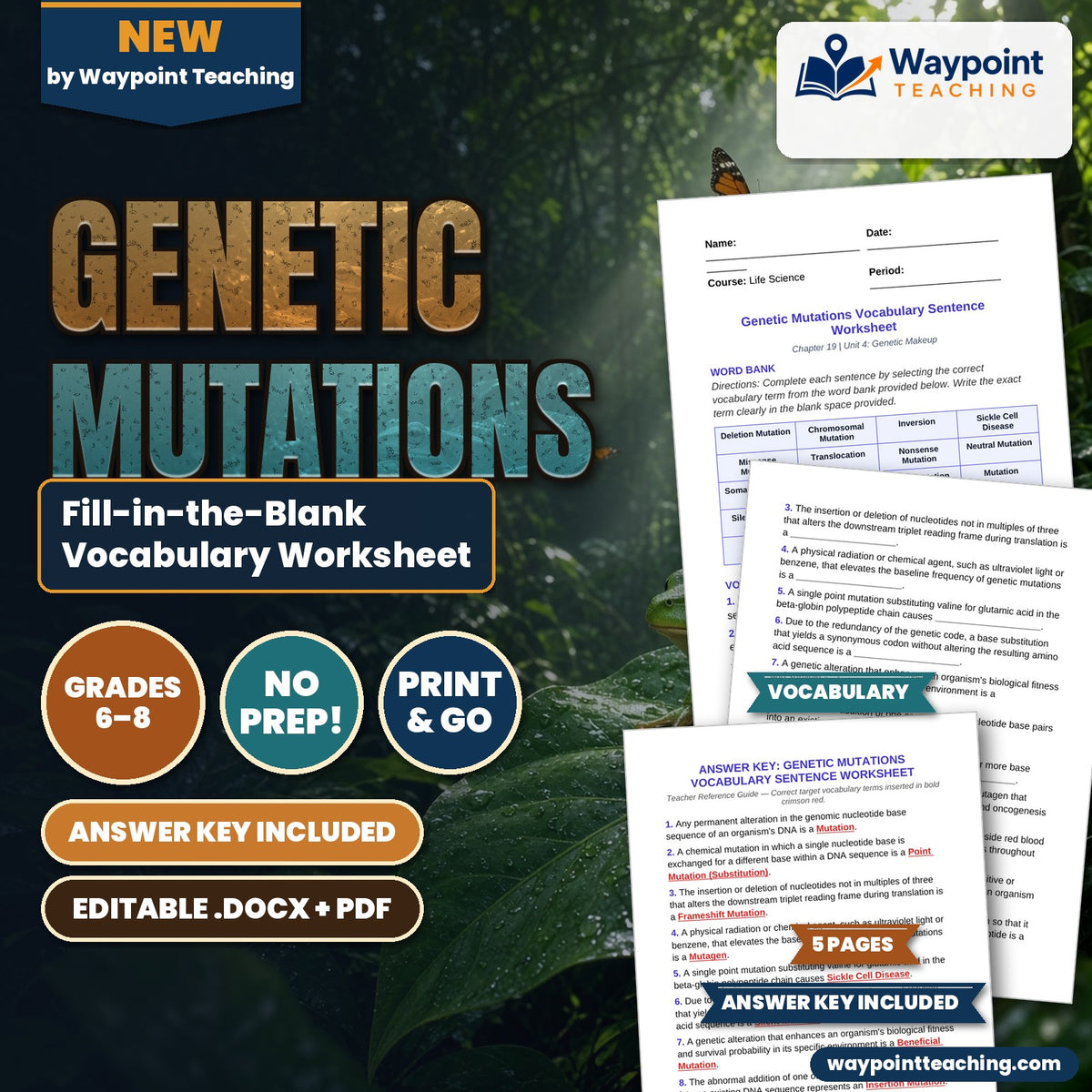 Genetic Mutations Fill-in-the-Blank Vocabulary Worksheet cover