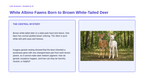 Genetic Mutations Phenomena-Based Lesson: White Albino Fawns Born to Brown White-Tailed Deer Presentation sample page