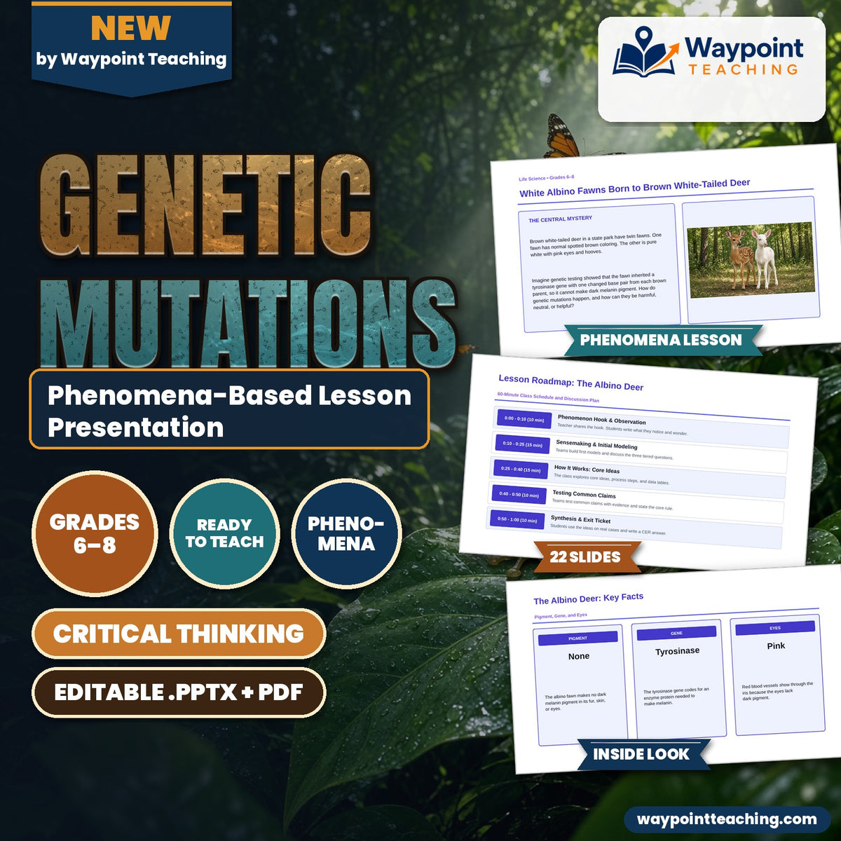 Genetic Mutations Phenomena-Based Lesson: White Albino Fawns Born to Brown White-Tailed Deer Presentation cover