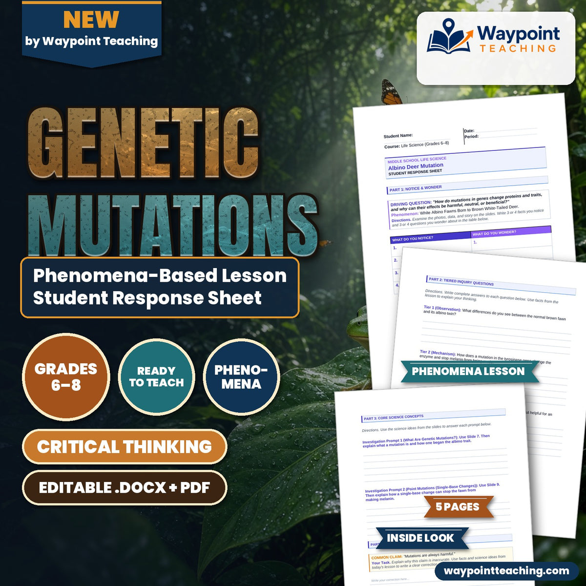 Genetic Mutations Phenomena-Based Lesson: White Albino Fawns Born to Brown White-Tailed Deer Student Response Sheet cover