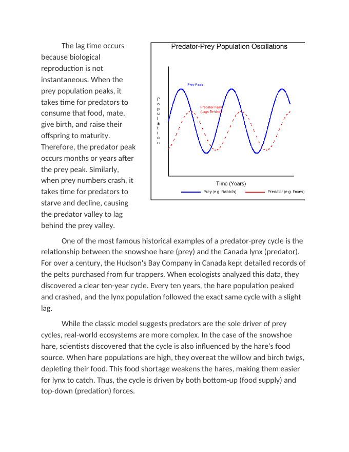 Graphing Predator-Prey Population Cycles over Time Reading Worksheet sample page