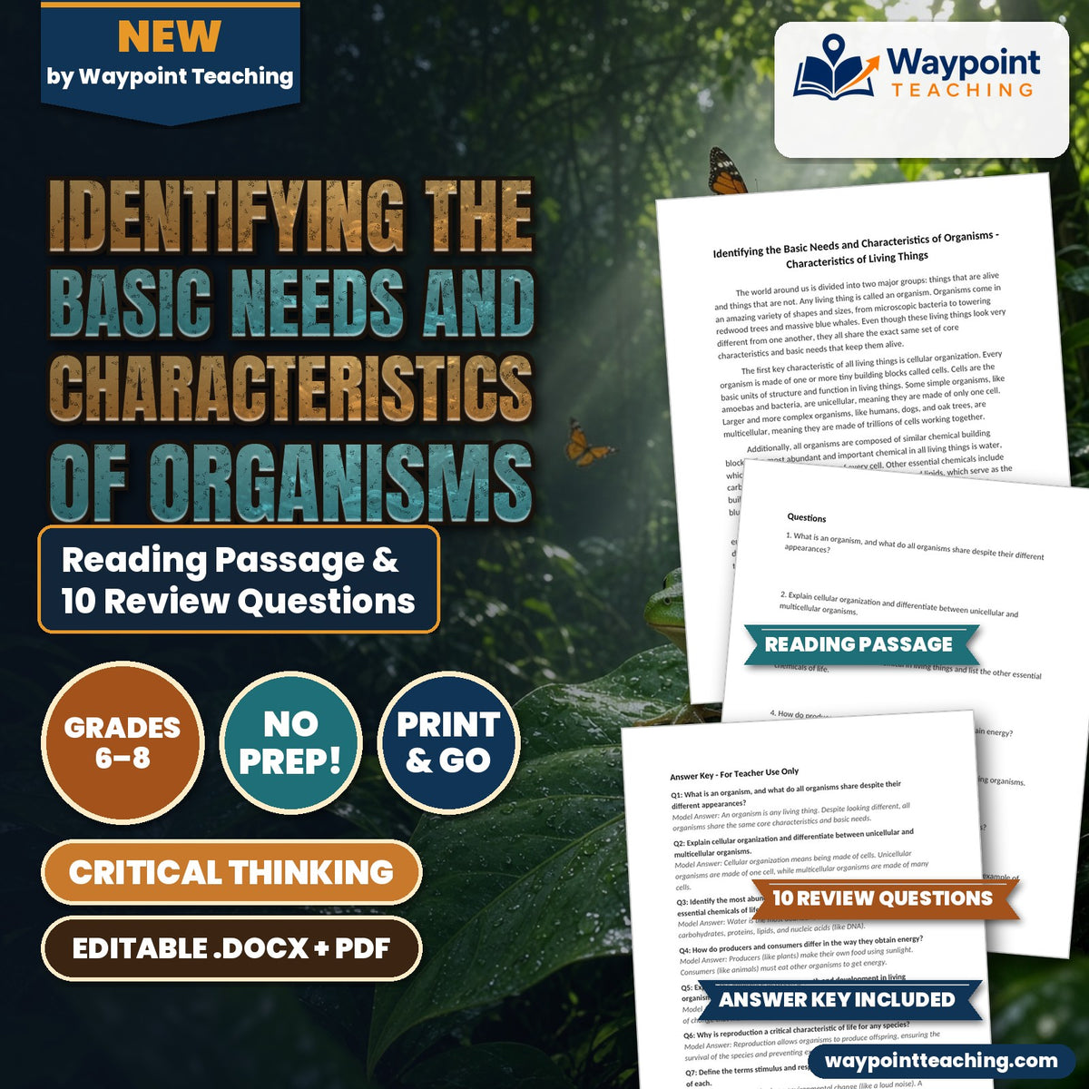 Identifying the Basic Needs and Characteristics of Organisms Reading Worksheet cover