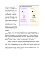 Incomplete Dominance and Codominance in Animal Coloring Reading Worksheet sample page