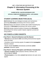 Information Processing & the Nervous System Guided Notes sample page