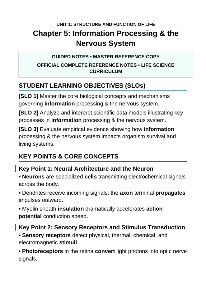 Information Processing & the Nervous System Guided Notes sample page