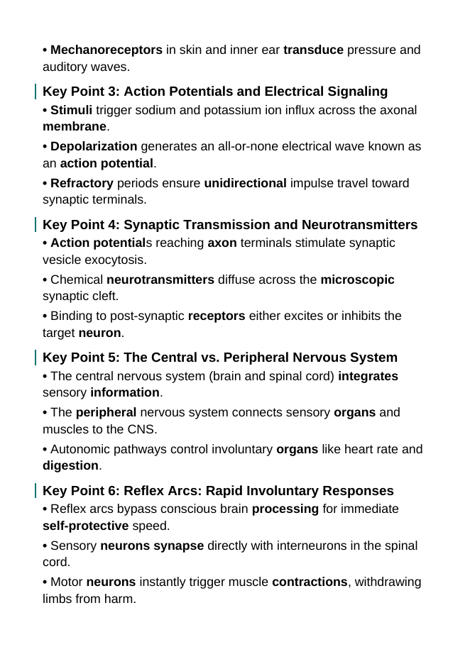 Information Processing & the Nervous System Guided Notes sample page