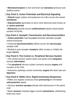 Information Processing & the Nervous System Guided Notes sample page