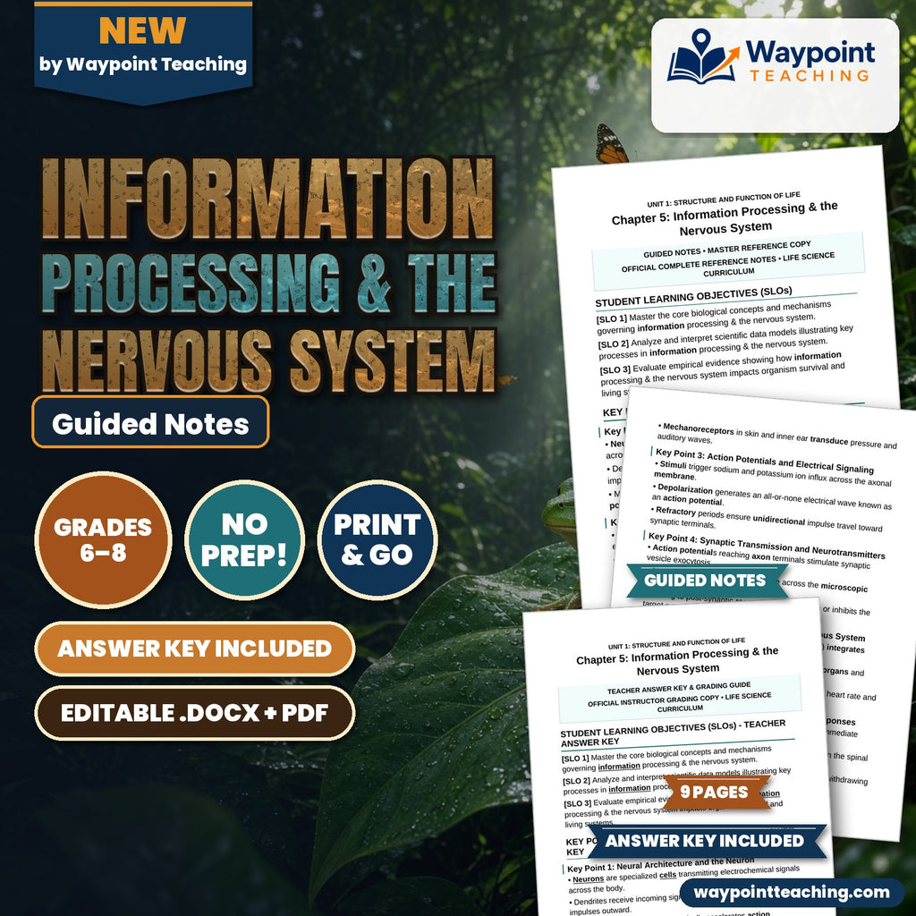 Information Processing & the Nervous System Guided Notes cover