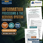 Information Processing & the Nervous System Guided Notes cover