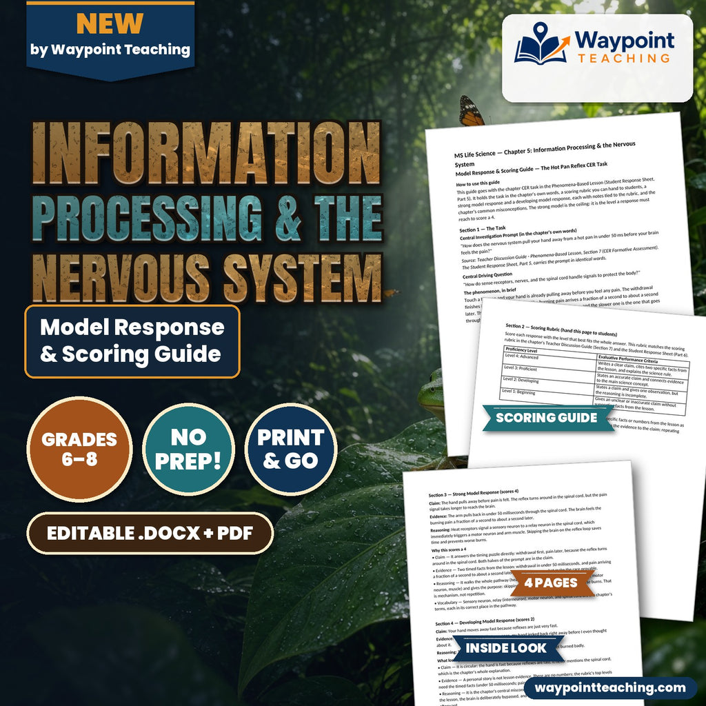 Information Processing & the Nervous System Model Response & Scoring Guide cover