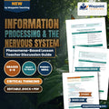Information Processing & the Nervous System Phenomena-Based Lesson: Instant Hand Withdrawal Reflex When Touching a Hot Pan Teacher Discussion Guide cover