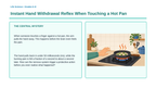Information Processing & the Nervous System Phenomena-Based Lesson: Instant Hand Withdrawal Reflex When Touching a Hot Pan Presentation sample page