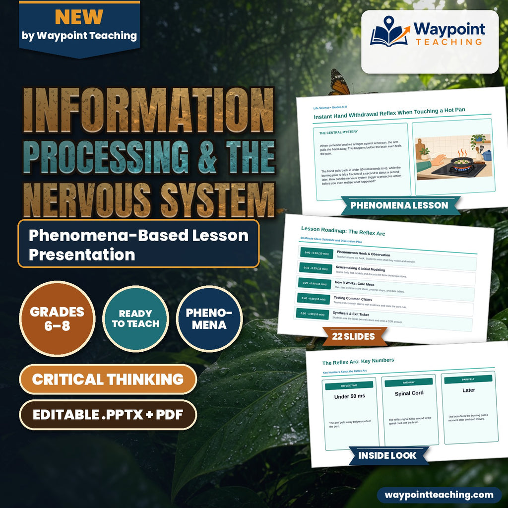 Information Processing & the Nervous System Phenomena-Based Lesson: Instant Hand Withdrawal Reflex When Touching a Hot Pan Presentation cover