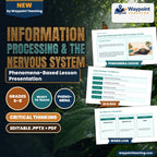 Information Processing & the Nervous System Phenomena-Based Lesson: Instant Hand Withdrawal Reflex When Touching a Hot Pan Presentation cover