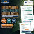 Information Processing & the Nervous System Scaffolded Phenomena-Based Lesson: Instant Hand Withdrawal Reflex When Touching a Hot Pan Teacher Discussion Guide cover