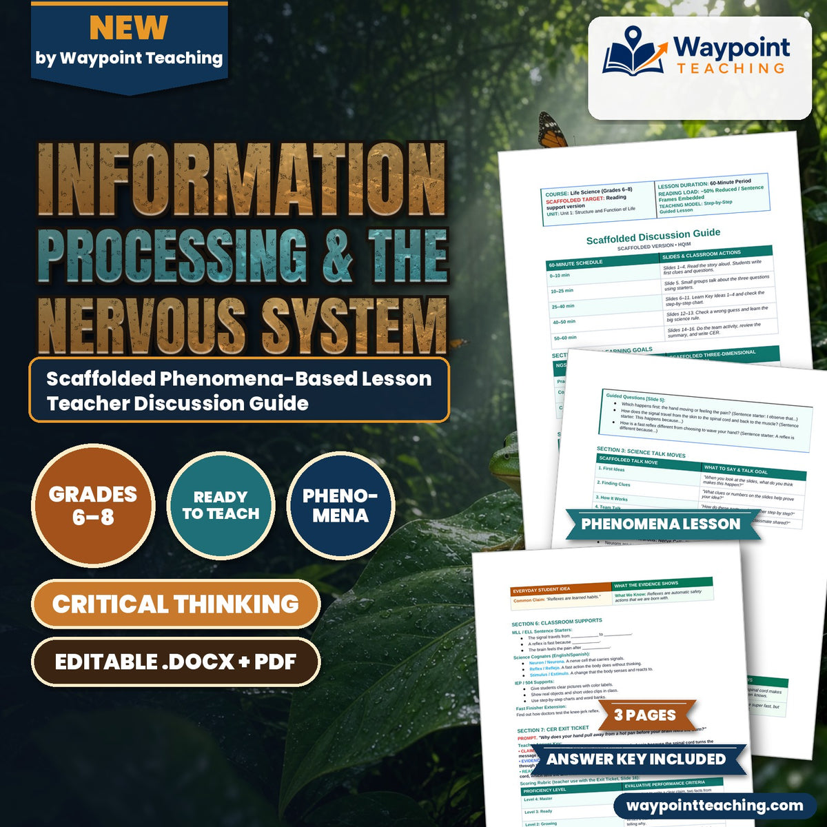 Information Processing & the Nervous System Scaffolded Phenomena-Based Lesson: Instant Hand Withdrawal Reflex When Touching a Hot Pan Teacher Discussion Guide cover