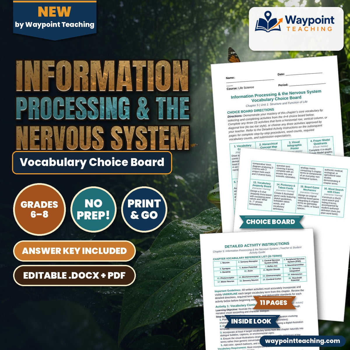Information Processing & the Nervous System Vocabulary Choice Board cover