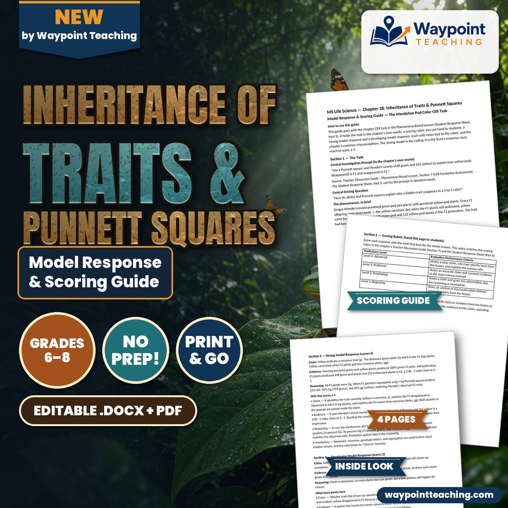 Inheritance of Traits & Punnett Squares Model Response & Scoring Guide cover