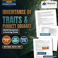 Inheritance of Traits & Punnett Squares Model Response & Scoring Guide cover