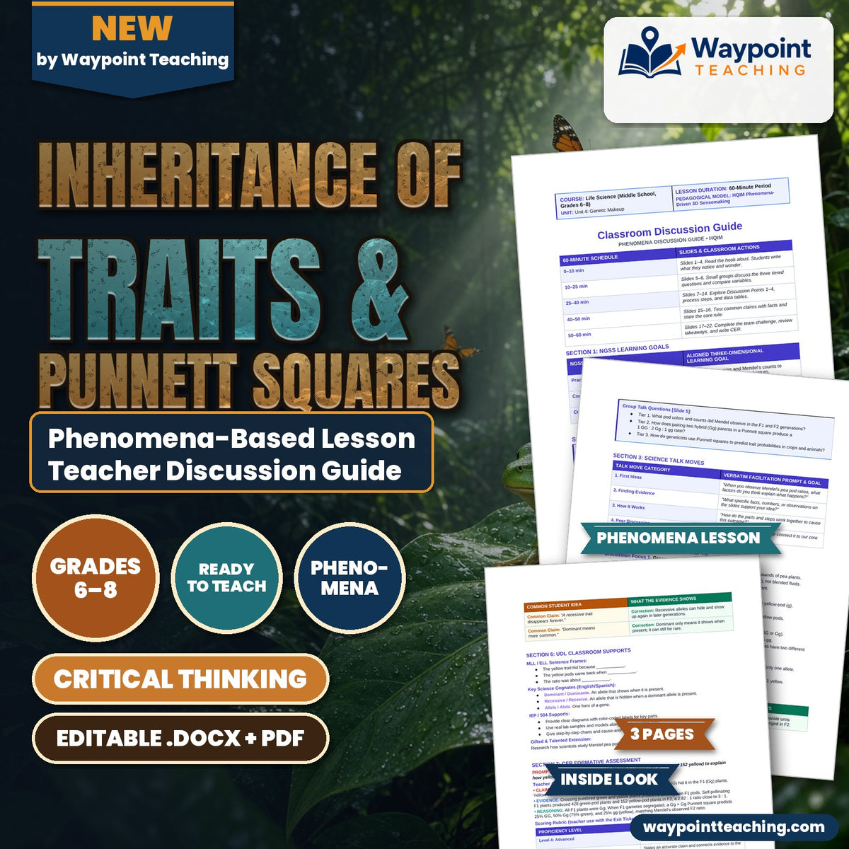 Inheritance of Traits & Punnett Squares Phenomena-Based Lesson: Mendelian 3-to-1 Ratios in Pea Pod Color Inheritance Teacher Discussion Guide cover