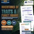 Inheritance of Traits & Punnett Squares Scaffolded Phenomena-Based Lesson: Mendelian 3-to-1 Ratios in Pea Pod Color Inheritance Teacher Discussion Guide cover