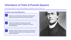 Inheritance of Traits & Punnett Squares Slide Show Presentation sample page