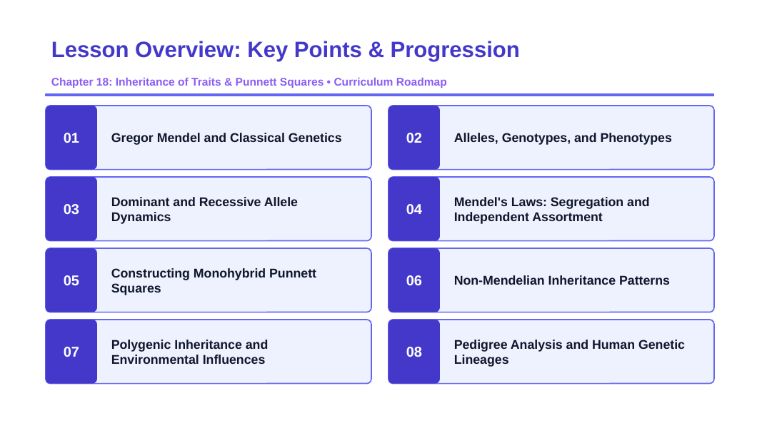 Inheritance of Traits & Punnett Squares Slide Show Presentation sample page
