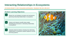 Interacting Relationships in Ecosystems Slide Show Presentation sample page