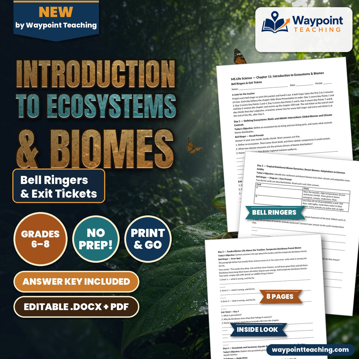 Introduction to Ecosystems & Biomes Bell Ringers & Exit Tickets cover