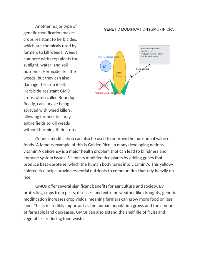 Introduction to Genetic Modification in Crops Reading Worksheet sample page