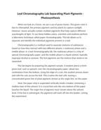 Leaf Chromatography Lab Separating Plant Pigments Reading Worksheet sample page