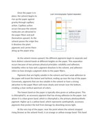 Leaf Chromatography Lab Separating Plant Pigments Reading Worksheet sample page