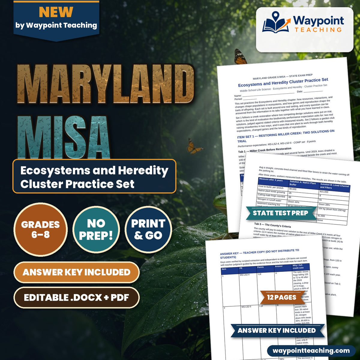 Maryland MISA Ecosystems and Heredity Cluster Practice Set cover