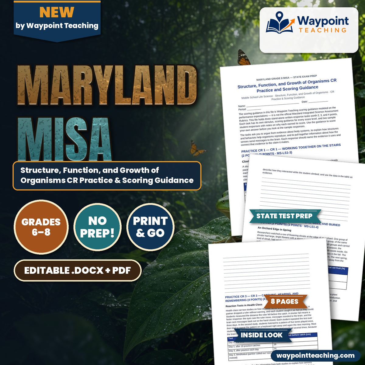 Maryland MISA Structure, Function, and Growth of Organisms CR Practice & Scoring Guidance cover