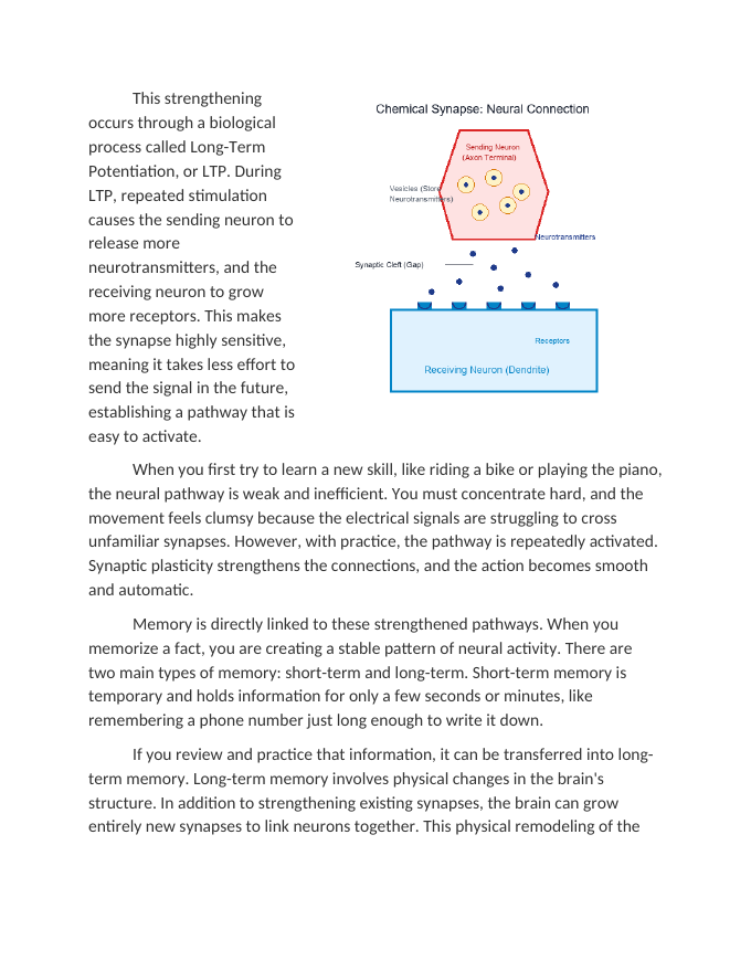 Memory and Learning Neural Pathways in Action Reading Worksheet sample page