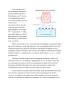 Memory and Learning Neural Pathways in Action Reading Worksheet sample page