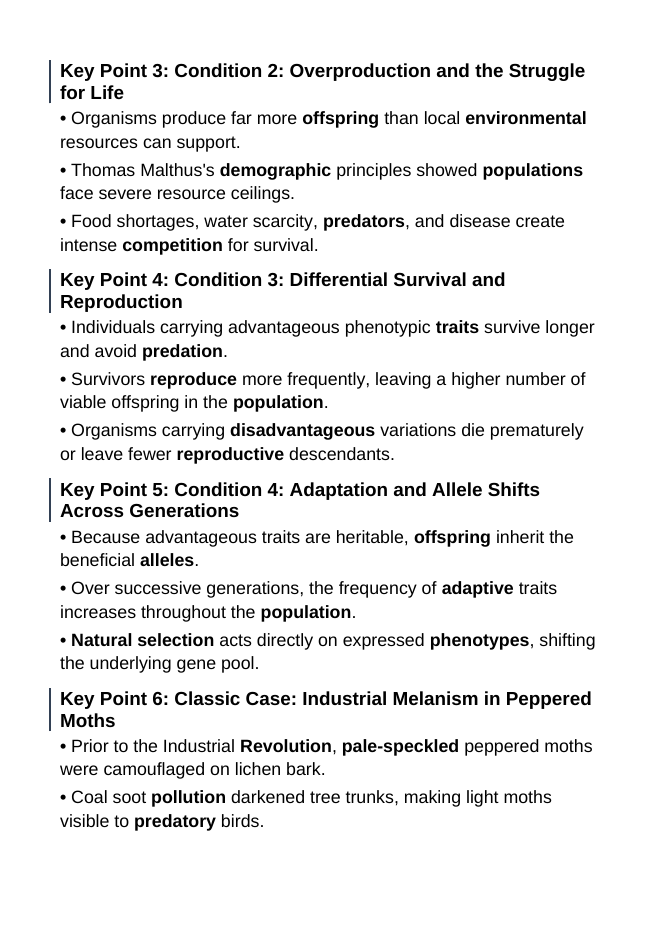 Natural Selection Guided Notes sample page