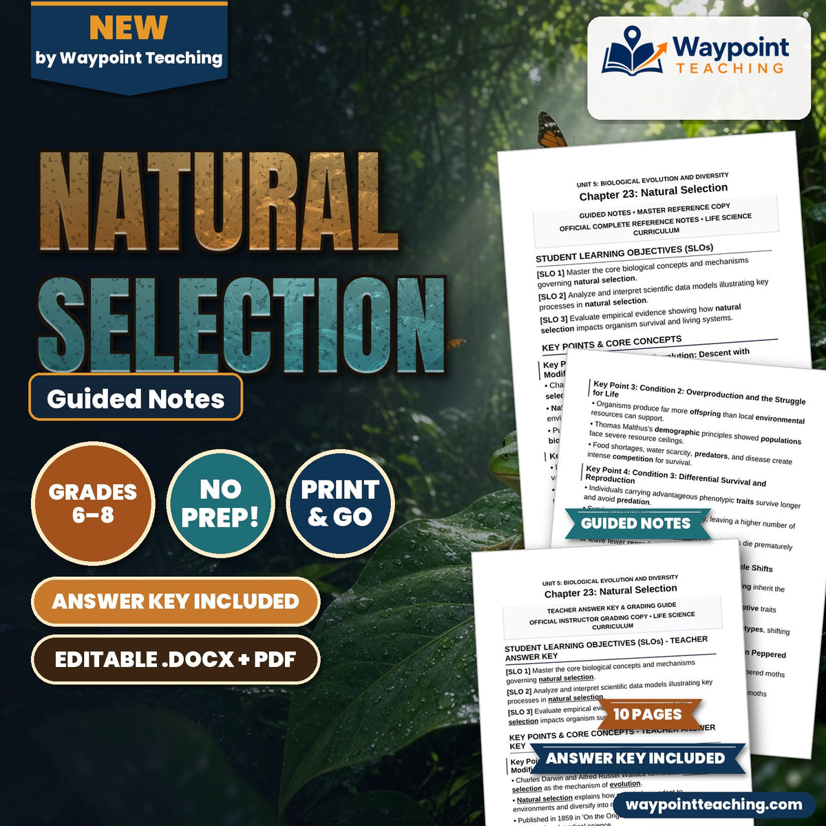 Natural Selection Guided Notes cover