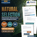 Natural Selection Phenomena-Based Lesson: Peppered Moth Color Frequency Shifts During the Industrial Revolution Student Response Sheet cover
