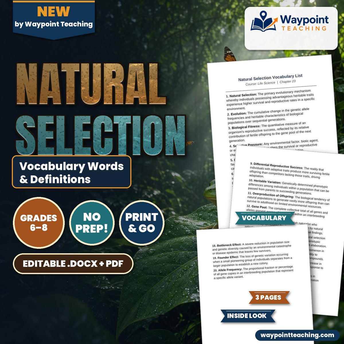 Natural Selection Vocabulary Words & Definitions cover