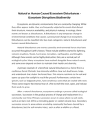 Natural vs Human-Caused Ecosystem Disturbances Reading Worksheet sample page