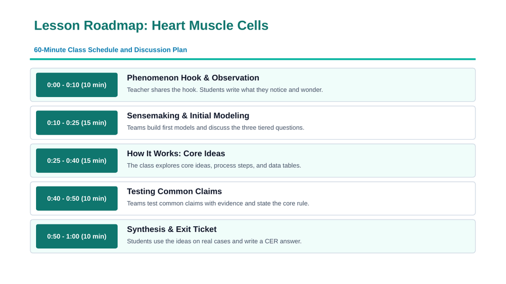 Organization of Multicellular Organisms Phenomena-Based Lesson: Coordinated Rhythmic Beating of Heart Muscle Tissue Presentation sample page