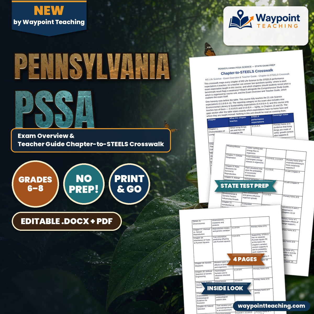 Pennsylvania PSSA Exam Overview & Teacher Guide Chapter-to-STEELS Crosswalk cover