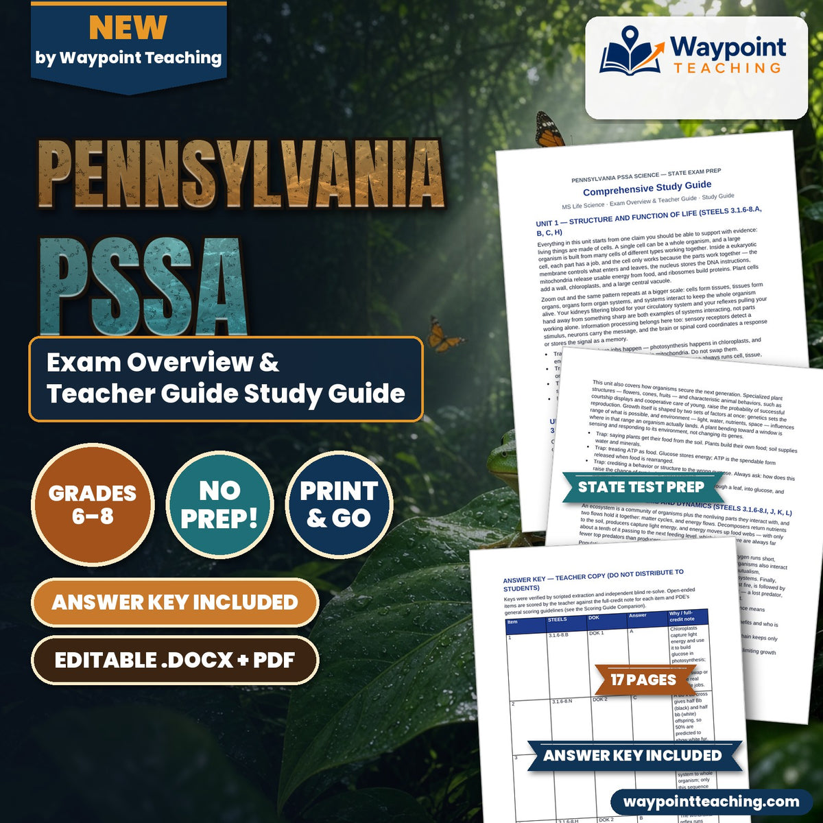 Pennsylvania PSSA Exam Overview & Teacher Guide Study Guide cover