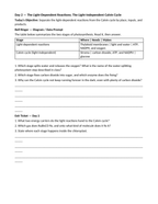 Photosynthesis Bell Ringers & Exit Tickets sample page