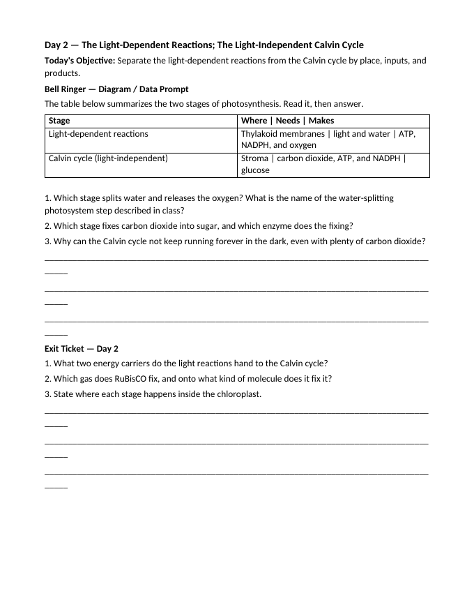 Photosynthesis Bell Ringers & Exit Tickets sample page