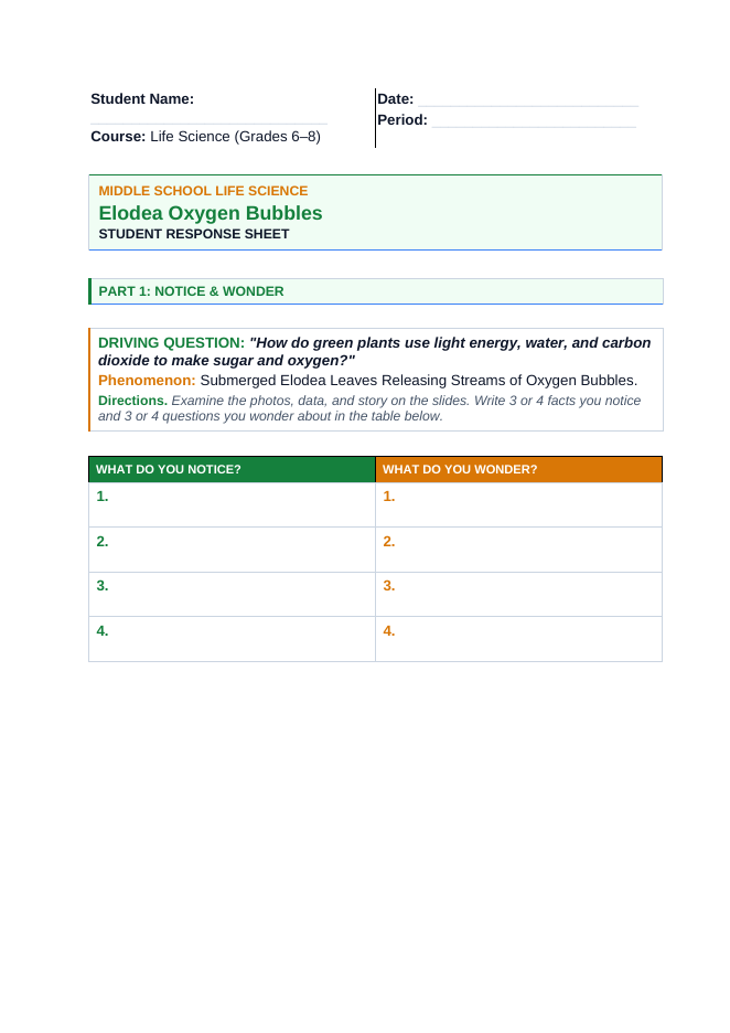 Photosynthesis Phenomena-Based Lesson: Submerged Elodea Leaves Releasing Streams of Oxygen Bubbles Student Response Sheet sample page