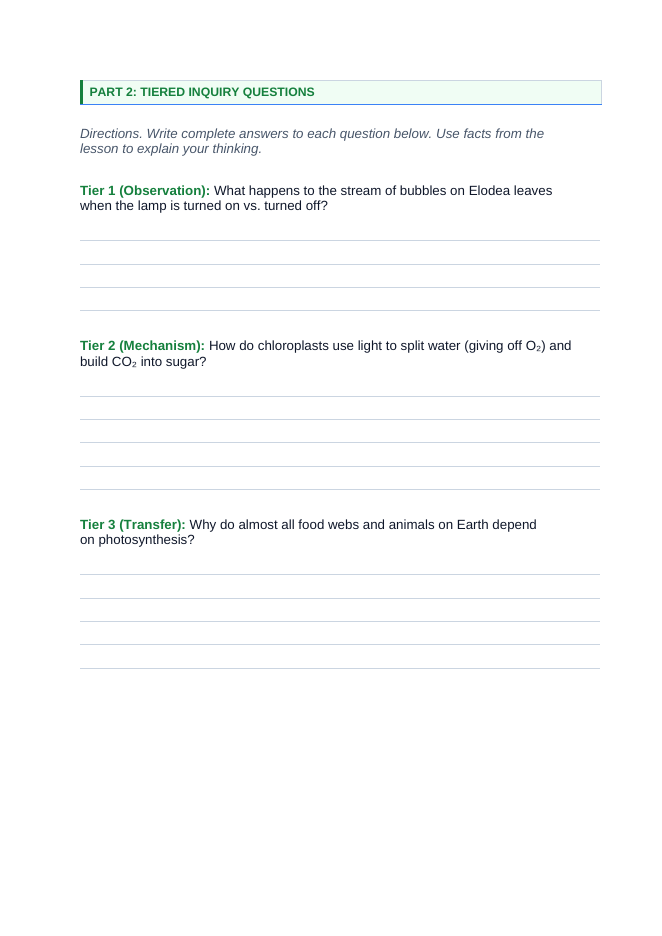 Photosynthesis Phenomena-Based Lesson: Submerged Elodea Leaves Releasing Streams of Oxygen Bubbles Student Response Sheet sample page