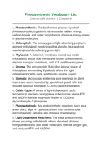 Photosynthesis Vocabulary Words & Definitions sample page